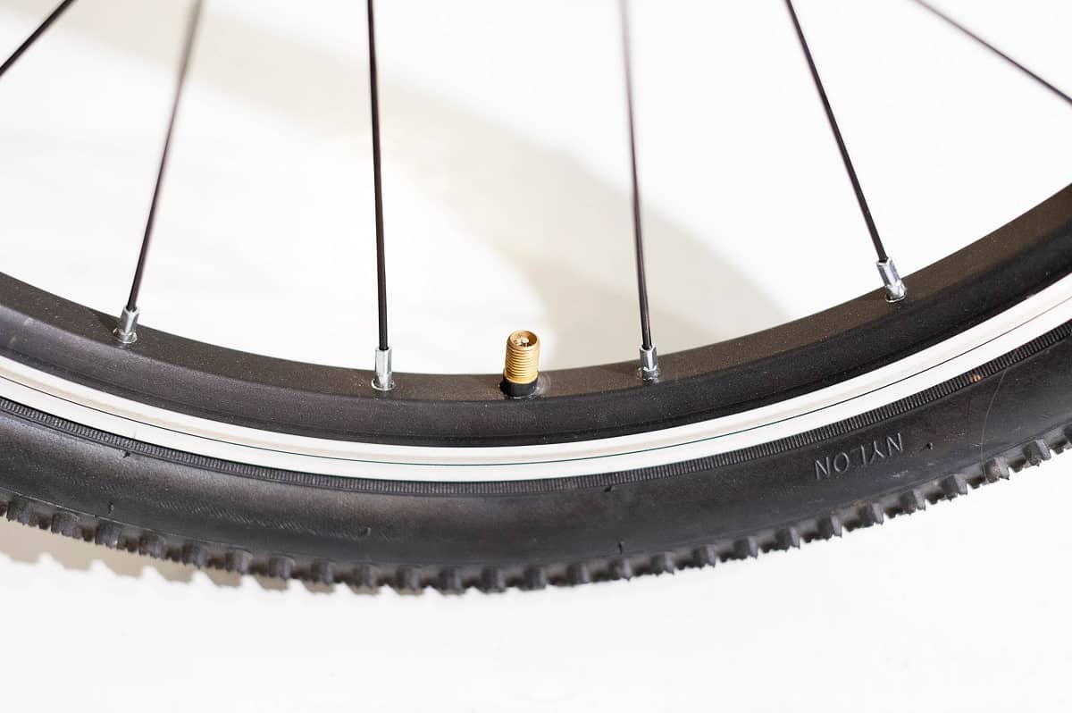 Cuál es la correcta de los neumáticos una bicicleta? | Bikester.es